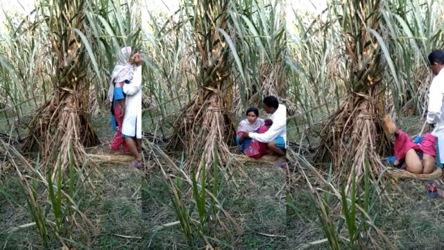 Pakistani Muslim uncle fucked young labor girl in Sugar farm, Video Viral